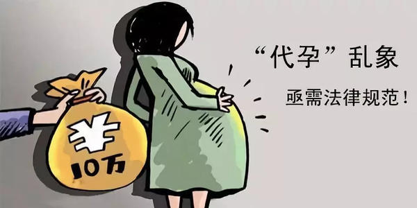 三朵：“禁止代孕”要用力发声