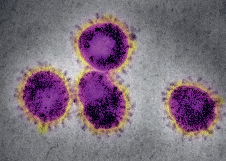 致命地图：席卷全球的重大传染病及流行病