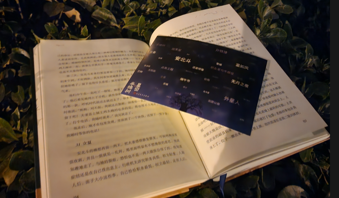 《星空与半棵树》：写给每一位择善固执、真诚活着的人