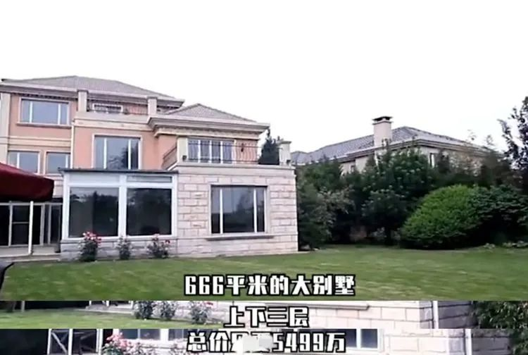 “内娱第一富婆”李湘47岁退休：70套房子，5000亿身家？