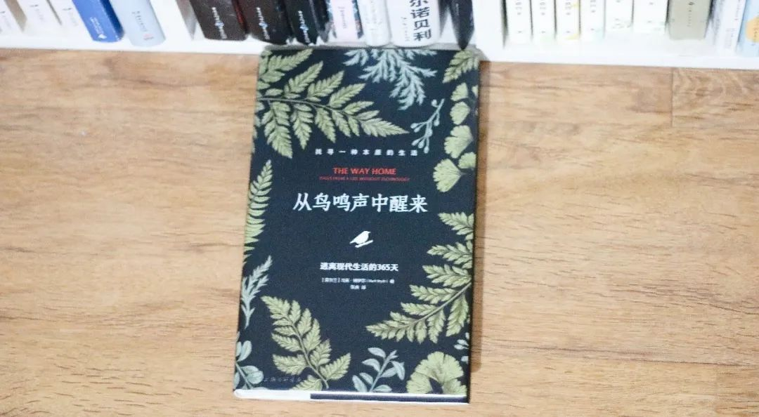 二月收到出版社寄来的三本赠书，本本经典，竟然有《我与地坛》