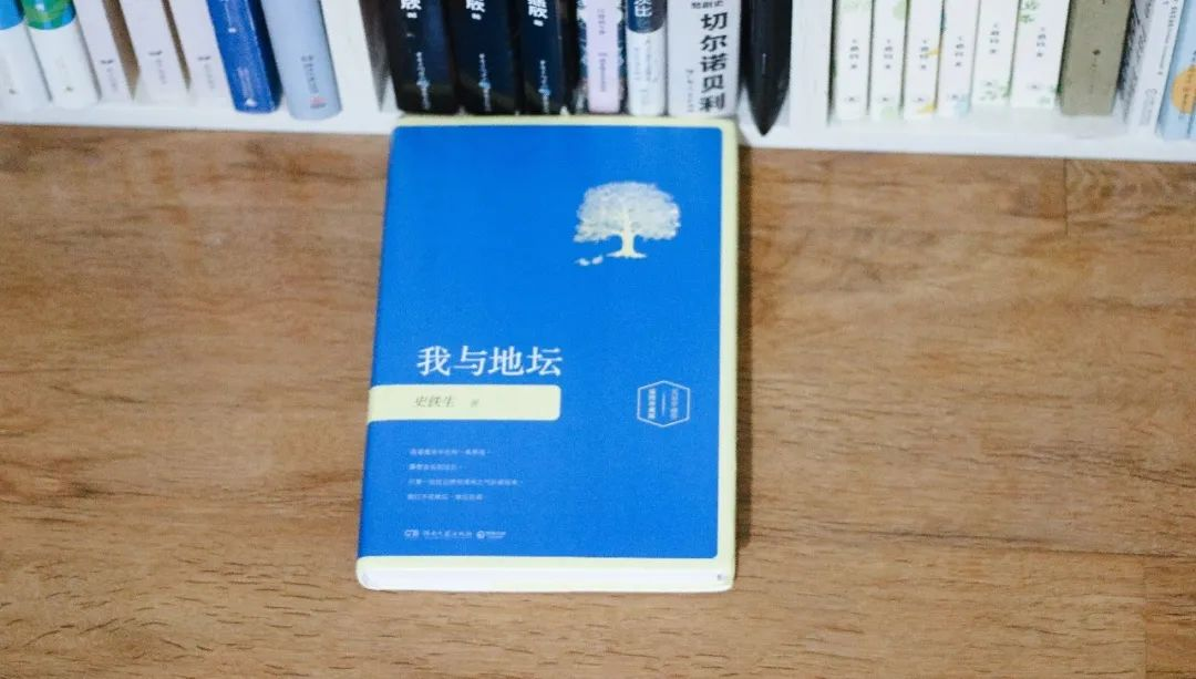 史铁生的每一本书都在9分以上：如果感到生活很苦，请一定要读他的这本经典名作《我与地坛》