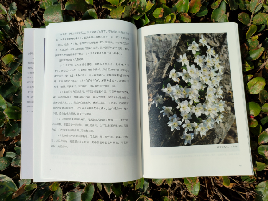 推书网新书推荐《天涯芳草》：博物学者刘华杰与植物的故事