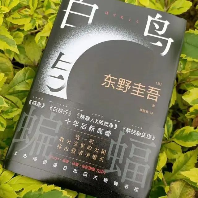 房县图书馆好书推荐：走进书籍  一起去看世界