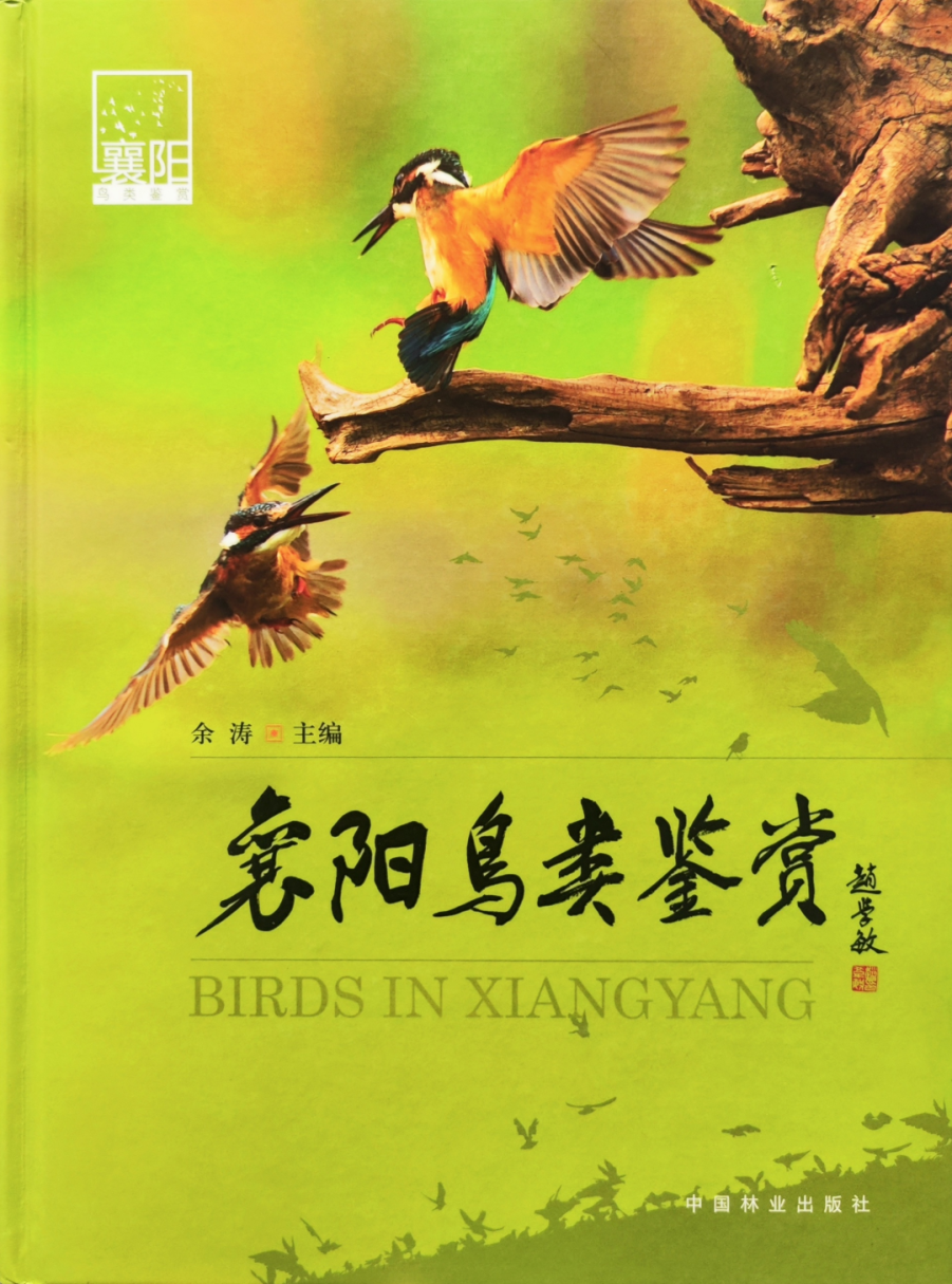 襄阳市图书馆典藏 · 地方文献精品荐读 | 第148期：布谷声中夏令新《襄阳鸟类鉴赏》