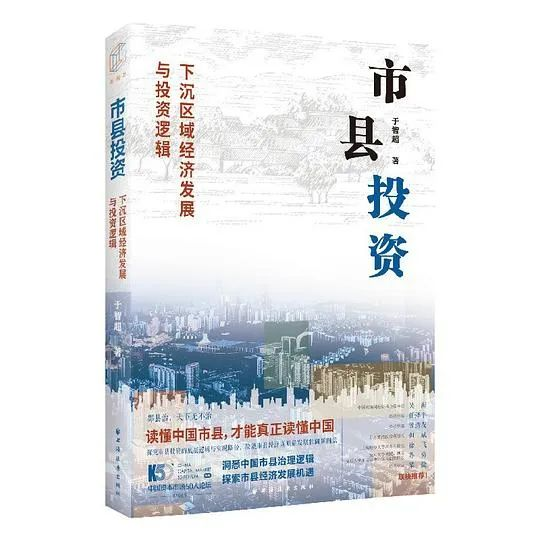 推书网2024年10月17日分享书籍：少年发声、生死结、市县投资