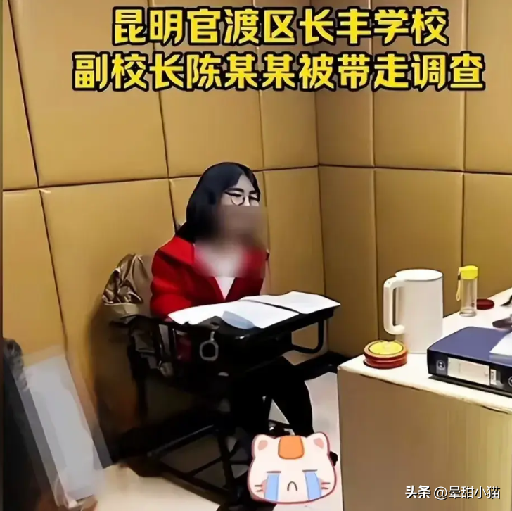 拿下！昆明长丰学校臭肉事件后续！涉事人员都抓，尤其发笑红衣女