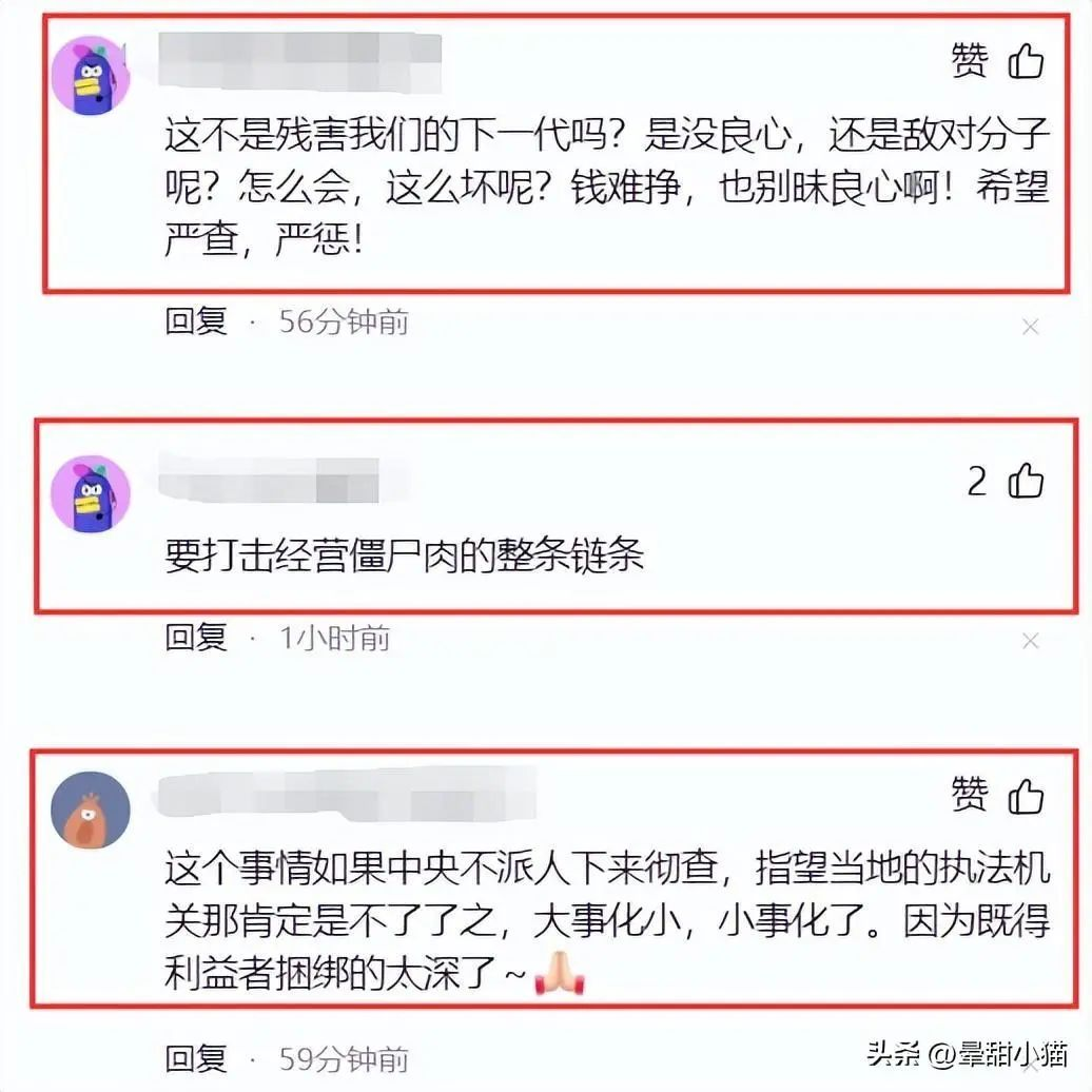 拿下！昆明长丰学校臭肉事件后续！涉事人员都抓，尤其发笑红衣女