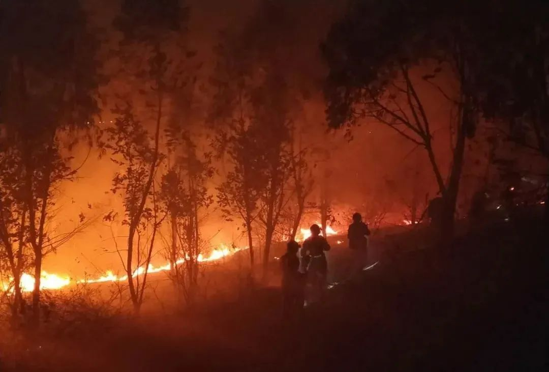 无条件五星！《怀斯曼生存手册》这本火了20多年的硬核保命指南，够你看一辈子的！