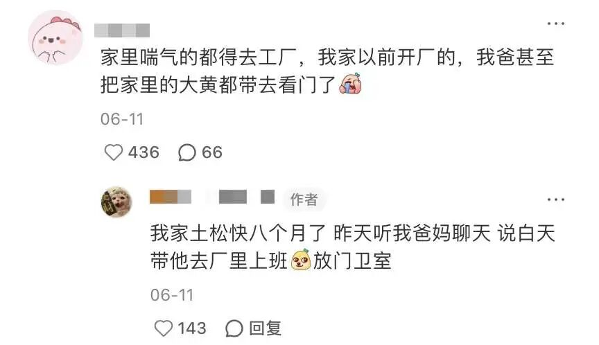 在浙江，被包养都得上班