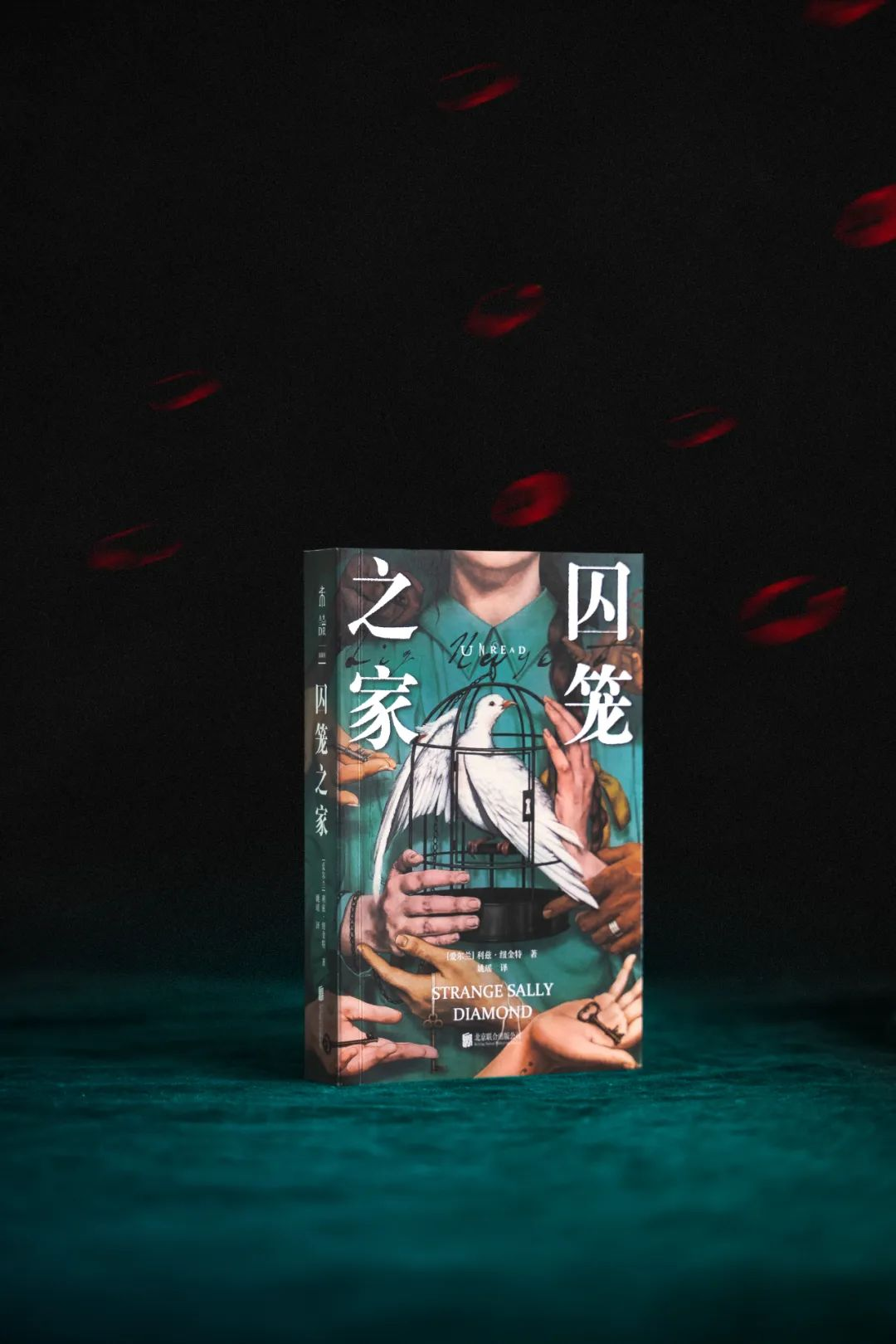 今年最值得读的悬疑小说《囚笼之家》必须有它 ！