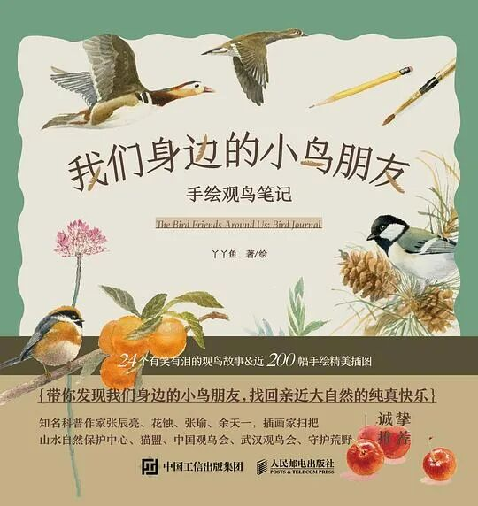 推书网2025年11月03日最新图书推荐：推理作家的信条、我们身边的小鸟朋友、我欲因之梦吴越